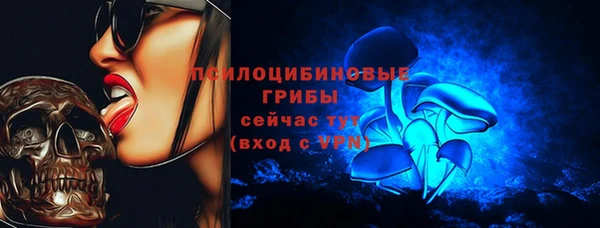 дурь Медногорск