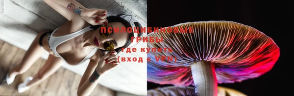 индика Пересвет