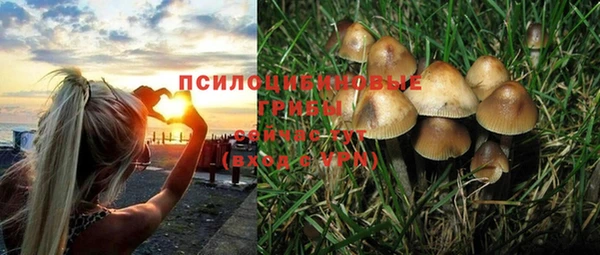 индика Пересвет