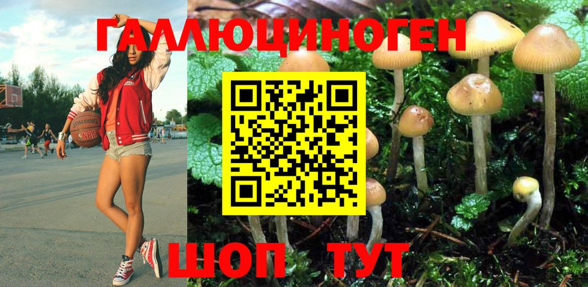 Галлюциногенные грибы Psilocybine cubensis  Вход с VPN  Петропавловск-Камчатский 