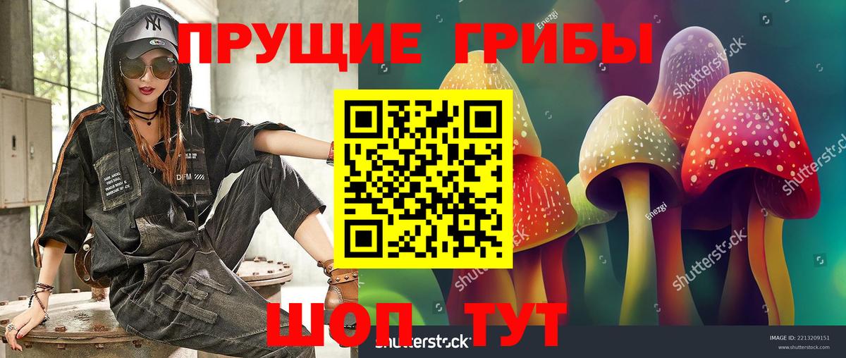 Галлюциногенные грибы мухоморы  Петропавловск-Камчатский 